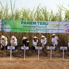 Program MAKMUR Petrokimia Gresik Lanjutkan Tren Positif, Pertahankan Predikat Jawa Timur sebagai Lumbung Gula 