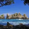 Pantai Gigi Hiu Jadi Hidden Gem di Lampung, Menawarkan Keindahan Pantai yang Unik dan Berbeda, Bukan Sarang Ikan Hiu!