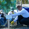 PLN EPI Perkuat Strategi Dekarbonisasi melalui Blue Carbon Ecosystems