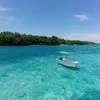 Pantai Sombu yang Memesona, Spot Menyelam Paling Populer dan Terindah di Wakatobi