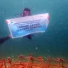 Peringati Hari Terumbu Karang Sedunia, Group Pertamina Hulu Indonesia Perkuat Komitmen Pelestarian Ekosistem Laut