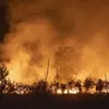 Kebakaran Hutan di Aljazair Tewaskan 25 Orang