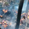 Polres Jepara Gelar Patroli di Hutan untuk Cegah Kebakaran