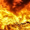 Kerugian Kebakaran Bromo Mencapai Rp 5,4 M