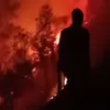 Pembuat Arang Picu Kebakaran Bukit Gombel Gunung Lawu
