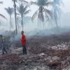 Tertiup Angin, Jambi Terdampak Asap Kebakaran Lahan di Sumatera Selatan