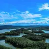 Jaraknya 90 Km dari Pekan Baru, Desa di Riau Ini Dijuluki Raja Ampatnya Sumatera