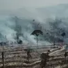 100 Hektar Lahan Konsesi PT ABT Terbakar, BPBD Tebo: Kita Masih Lakukan Pemadaman