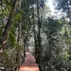 Membangun Kembali Ekowisata, Mencegah Karhutla di Hutan Gambut Tanjung Jabung Timur
