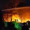 Luas Lahan Terbakar di Dekat Bandara Muara Bungo Capai 5 Hektar