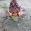 Bunga Bangkai Tumbuh di Halaman Rumah Ketua RT di Tanjabbar Jadi Tontonan Warga