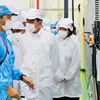 Pabrik Baterai Hyundai-LG di Karawang Beroperasi 2024