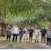 Anak Perusahaan Holding Perkebunan Nusantara III (Persero) Raih Produktivitas TBS Tertinggi