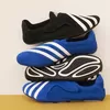 Adidas x Pharrell Williams Rilis VIRGINIA Vario FLAT EARTHER Suede, Segini Harganya
