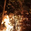 Gunung Arjuno-Welirang Terbakar, 70 Titik Api Terdeteksi dari Pasuruan hingga Batu