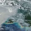 Temuan NASA, Emisi Karbon Karhutla Papua Tembus 35 Juta Ton, Tertinggi Ketiga dalam Sejarah