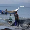Pukat Pantai tradisional itu masih tetap lestari di Aceh
