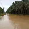 Banjir besar November  2025 belum pulih , Aceh Tamiang kembali dihantam banjir susulan