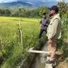Gayo Lues optimalisasi  lahan sawah terdampak banjir,  panen perdana akhir Oktober 2025