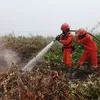 Indonesia sudah penuhi kewajiban pelaporan karhutla kepada ASEAN ACC THPC