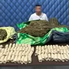 Ganja 15 Kilogram Di Simpan Di Rumah. Pria Inisial M Ditangkap