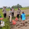 Lahan Kosong Disulap Jadi Ladang Jagung, Polsek Wlingi Gandeng Pemdes dan Petani Dukung Ketahanan Pangan