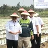 Dorong Produktivitas Petani, Bupati Blitar Tanam Cabai Rawit di Desa Sleman