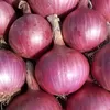 Jangan Kaget! Harga Bawang Merah Blitar Hari Ini Ternyata di Bawah Rata-rata Jatim