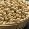 Cek Harga Kedelai Lokal! Blitar dan Kediri Ternyata Beda Rp1.000