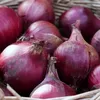 Harga Bawang Merah Blitar di Bawah Rata-rata Jatim, Segini Selisihnya