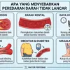 Apa yang Menyebabkan Peredaran Darah Tidak Lancar? Kenali Faktor Risikonya
