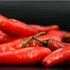Cek Harga Cabe Rawit Blitar dan Kediri, Beda Rp4 Ribu per Kilogram