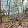 Api Muncul di Kawasan Hutan Jegu Blitar Saat Patroli, Polisi Turun Tangan Padamkan Kebakaran