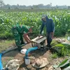 Dukung Hanpangan Lokal, Babinsa Koramil 0808/02 Garum Pendampingan Pengairan Tanaman Jagung di Kelurahan Bence
