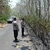 Api Membakar Daun Jati Kering di Doko Blitar, Polisi dan Perhutani Bergerak Cepat