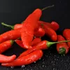 Harga Cabe Rawit Merah di Jawa Timur Tembus Rp77.666 per Kg, Kota Blitar Terendah