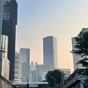Sempat Masuk Atmosfer Jakarta, Asap Karhutla Kini Mulai Menjauh ke Arah Barat