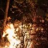 70 Titik Api Masih Membara di Gunung Arjuno-Welirang, Kebakaran Meluas hingga Kota Batu