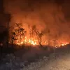 3 Hari Padamkan Api Karhutla, Warga Papua Hadapi Ancaman di Tanah Leluhur
