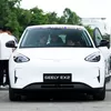 Baru 6 Hari Geely EX2 Gagal Pengisian Daya, Pemilik Layangkan Somasi