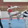 909 Pelajar Ikuti Bapopsi Cup Kabupaten Bogor 2026, Atletik dan Taekwondo Dipertandingkan