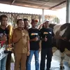 Bupati Dony Apresiasi Peternak Sumedang yang Juara Kontes Sapi Nasional