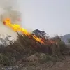 Kebakaran Lahan Alang-alang Dekat Permukiman di Cimalaka, Damkar Sumedang Berhasil Padamkan