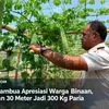 Manfaatkan Lahan 30 Meter Persegi, Warga Binaan Lapas Atambua Hasil Panen 300 Kg Paria