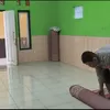 Wujudkan Kepedulian dan Kenyamanan Tempat Ibadah, Personel Polsek Cikijing Gelar Bakti Religi Bersihkan Mushola Babusalam.