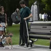 Review Film Puppy Love, Kisah Nicole dan Max, yang Dipertemukan Karena Anak Anjing!