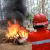 Gubernur Sultra Sebut Tujuh Daerah Paling Rawan Karhutla