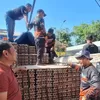 Peternak Blitar Kirim 8,7 Ton Telur untuk Korban Gempa Flores NTT