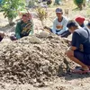 Aksi Bongkar Kuburan di Plampangrejo Banyuwangi, Jenazah 7 Hari Dikubur, Perdunu: Meninggal Ahad Legi Bisa untuk Ajian Sirep dan Menghilang