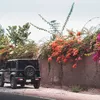 Kisah Asal Mula Mobil Jeep Disebut Mobil Penculik, Berawal dari Pencarian Tumbal